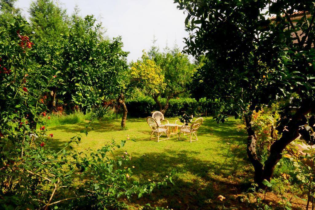 Residenza La Vigna Parghelia Exterior foto