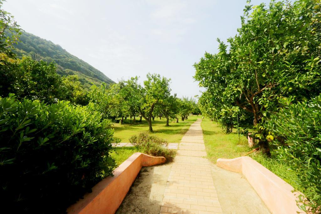 Residenza La Vigna Parghelia Exterior foto