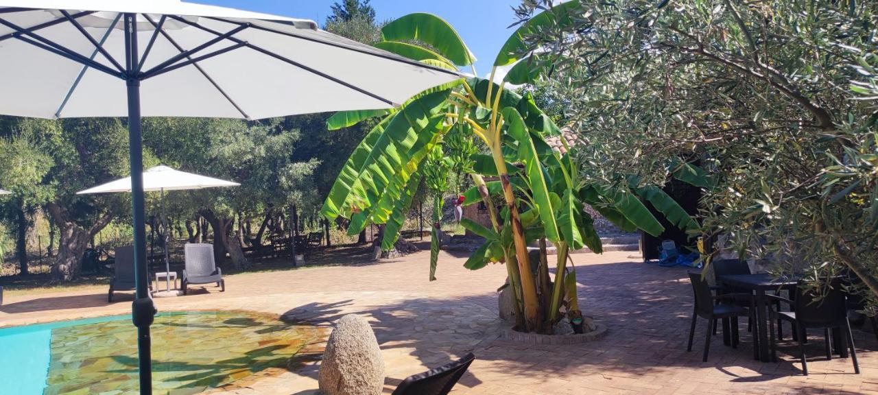 Residenza La Vigna Parghelia Exterior foto