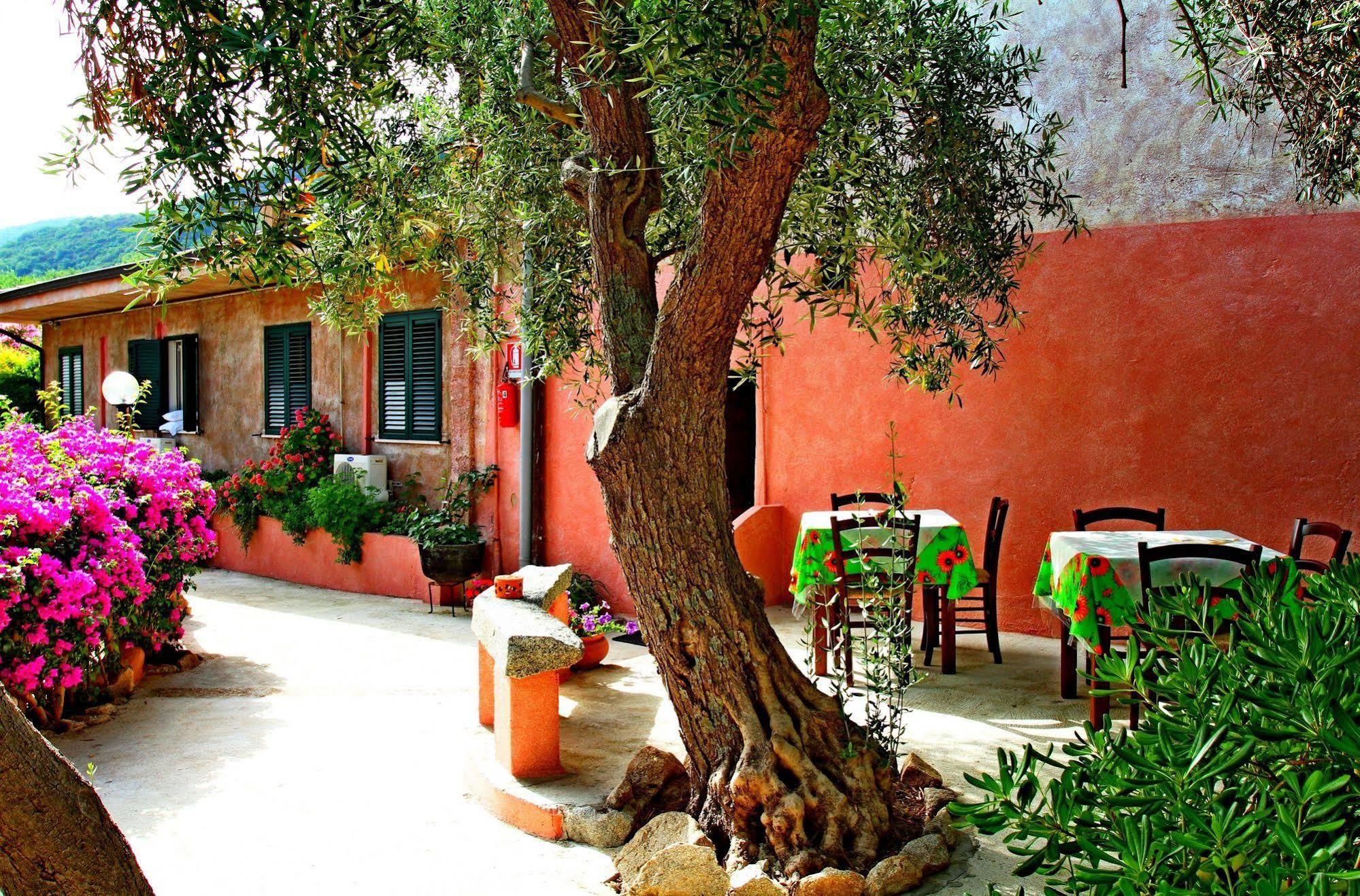 Residenza La Vigna Parghelia Exterior foto